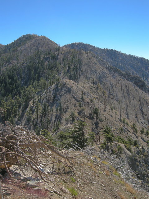 Windy Gap Trailhead - Photo 1