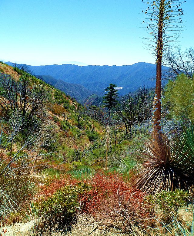 Angeles National Forest (Arcadia Access Points) - Photo 1
