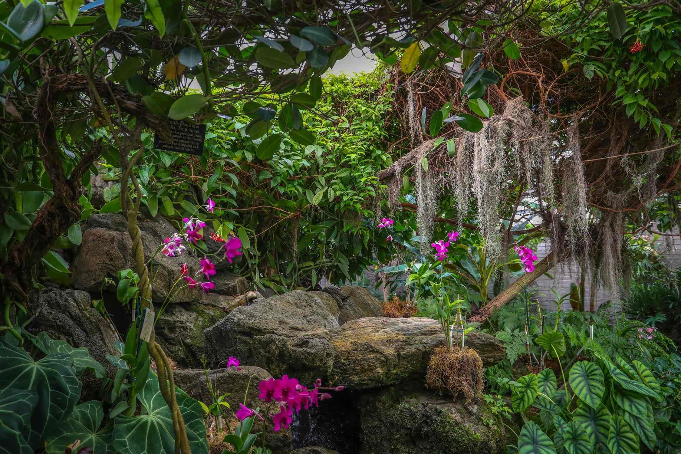 Los Angeles County Arboretum and Botanic Garden - Photo 1