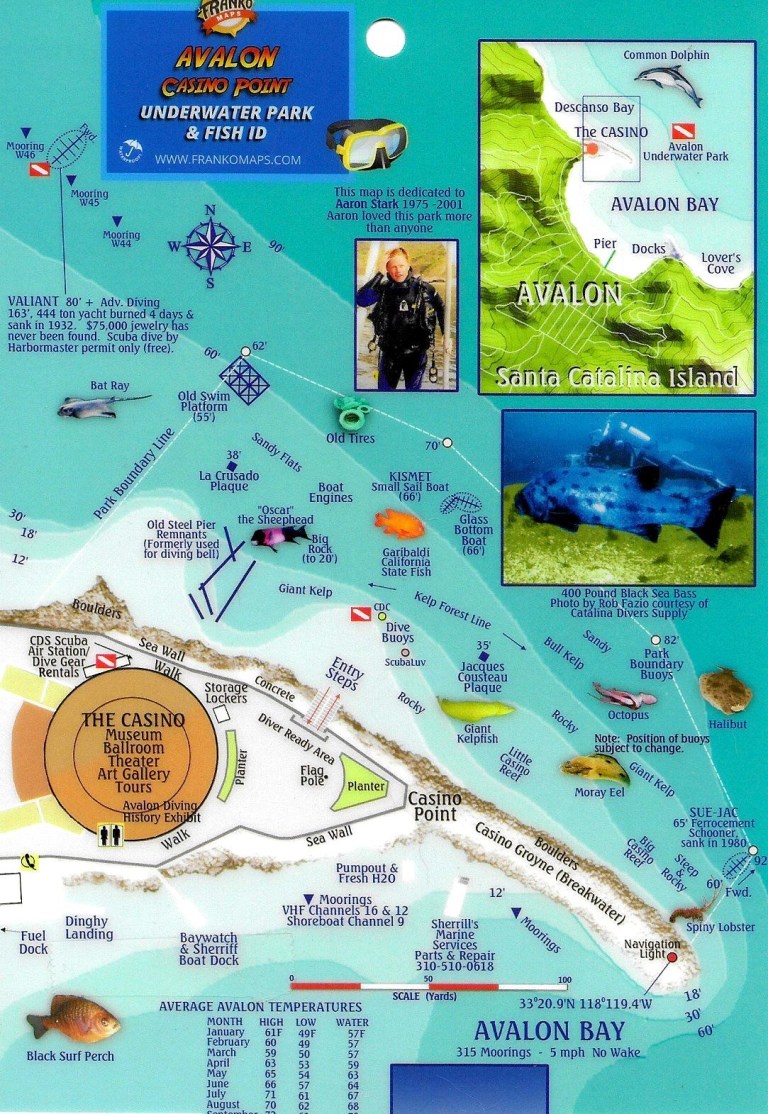 Avalon Dive Park - Photo 1
