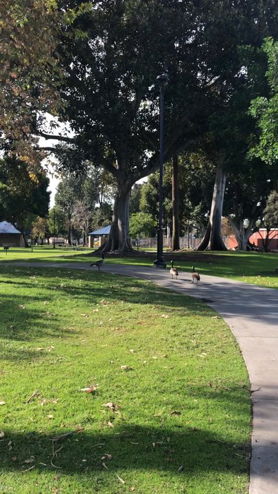 John Anson Ford Park - Photo 1