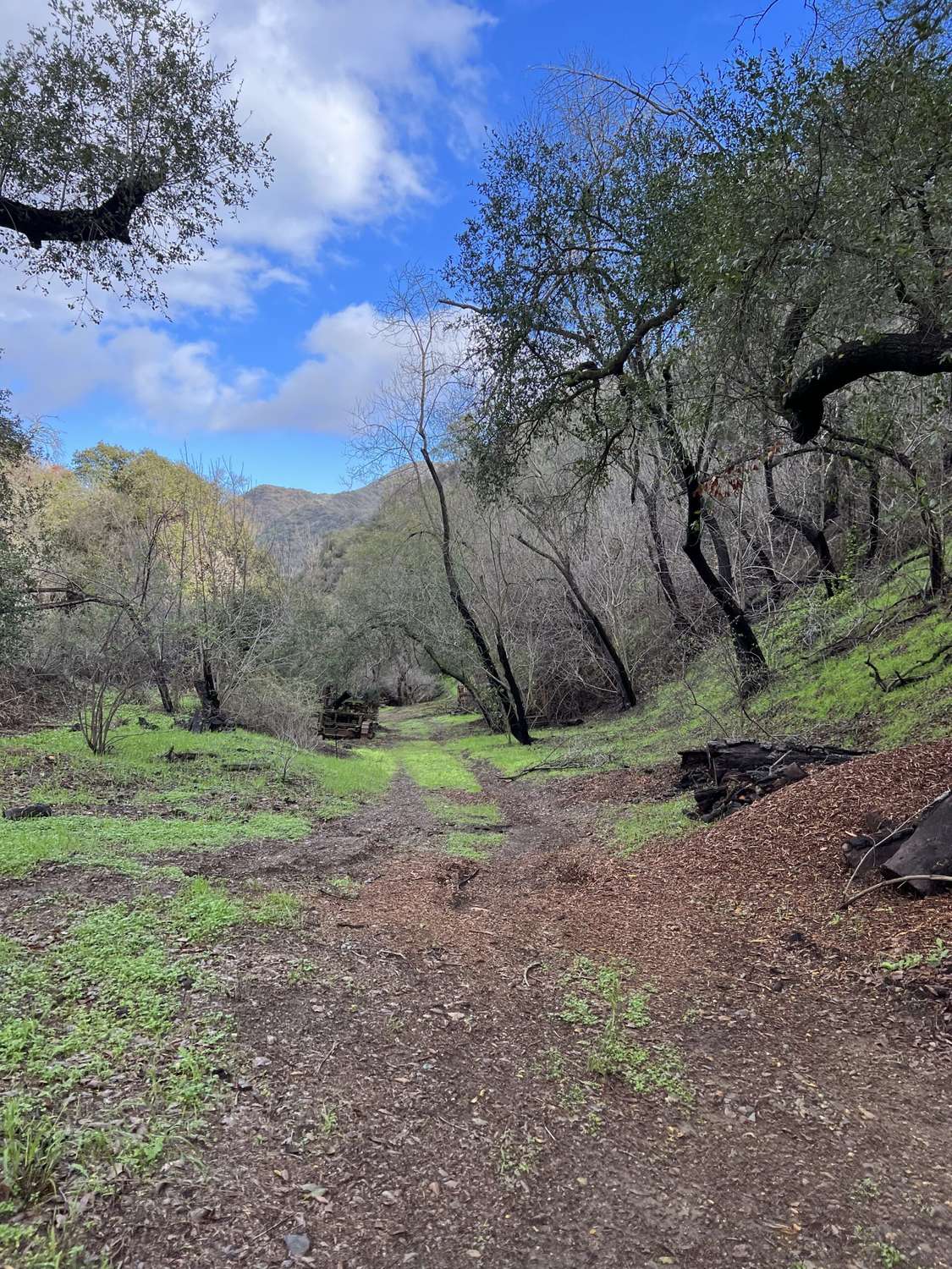 Benedict Canyon Trail - Photo 1