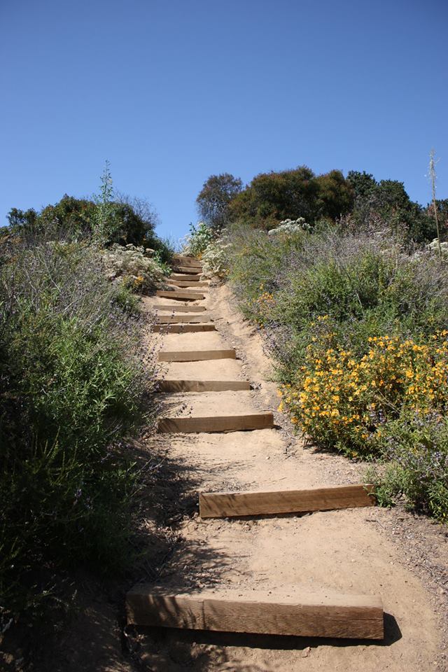 Franklin Canyon Park - Photo 1