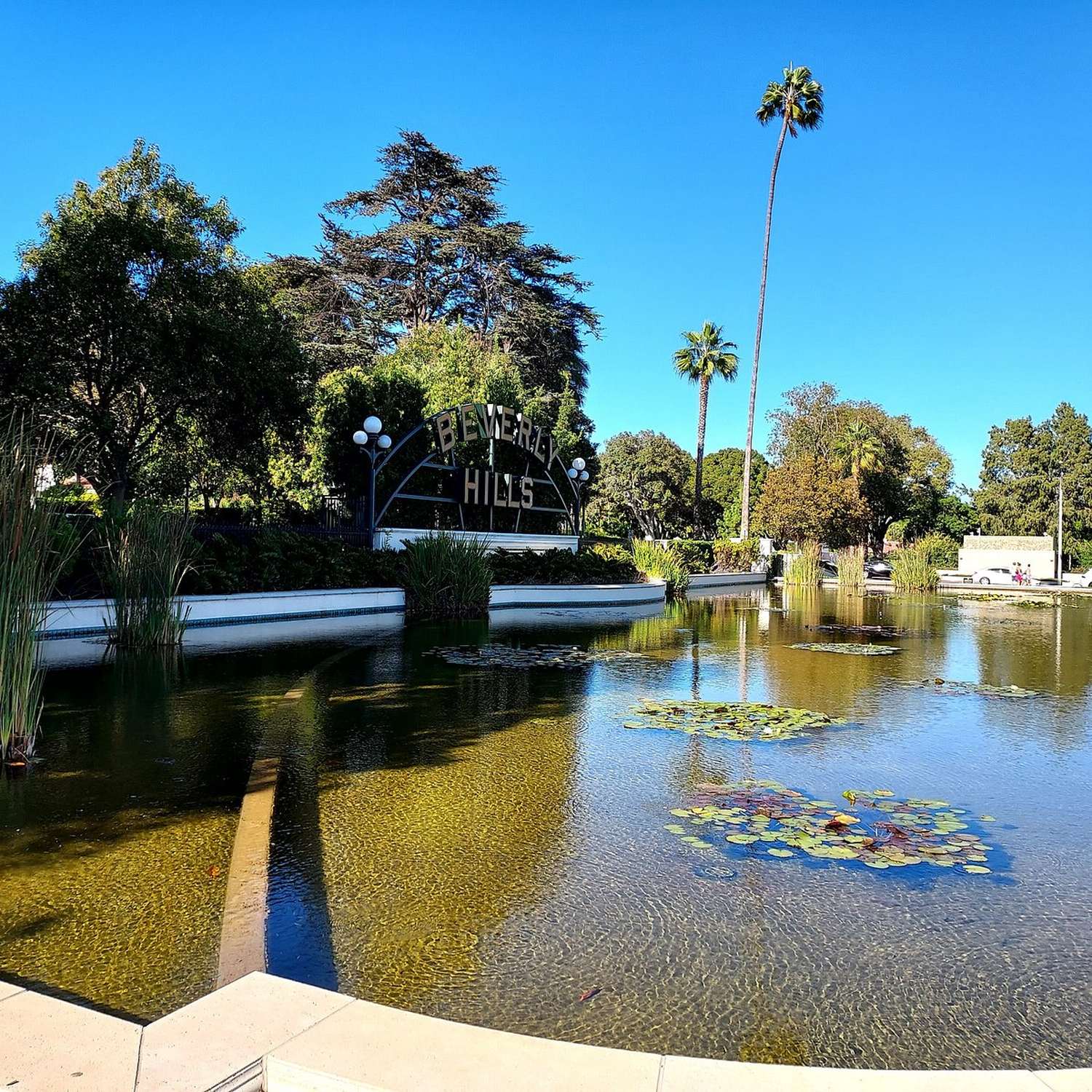 Beverly Hills Sign & Lily Pond - Photo 1