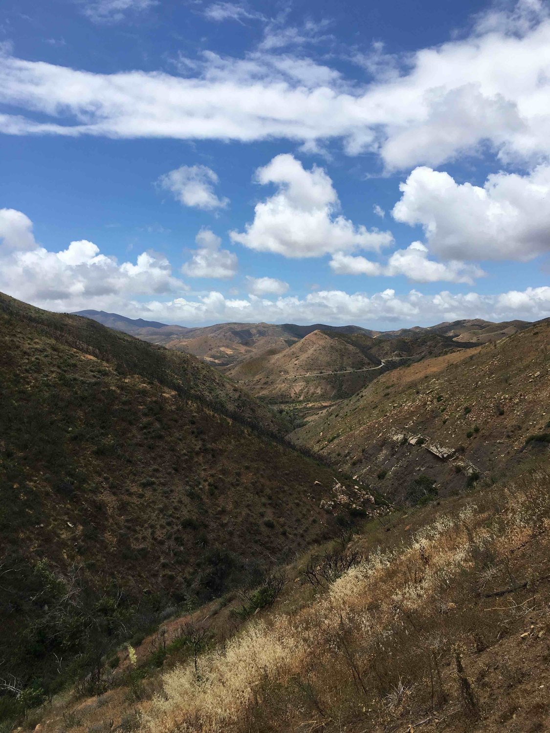 Stunt Ranch Santa Monica Mountains Reserve - Photo 1