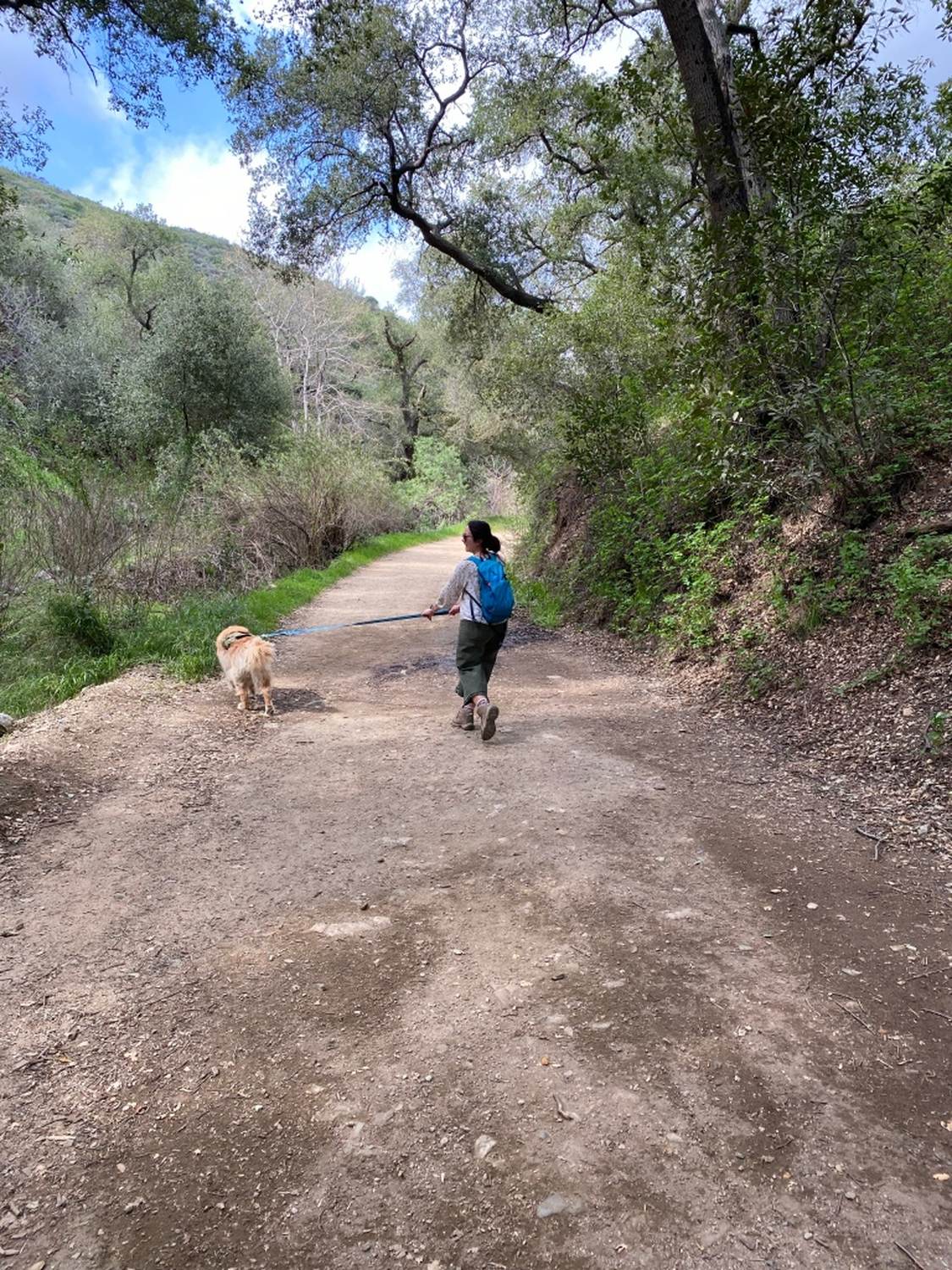 Claremont Wilderness Park - Photo 1