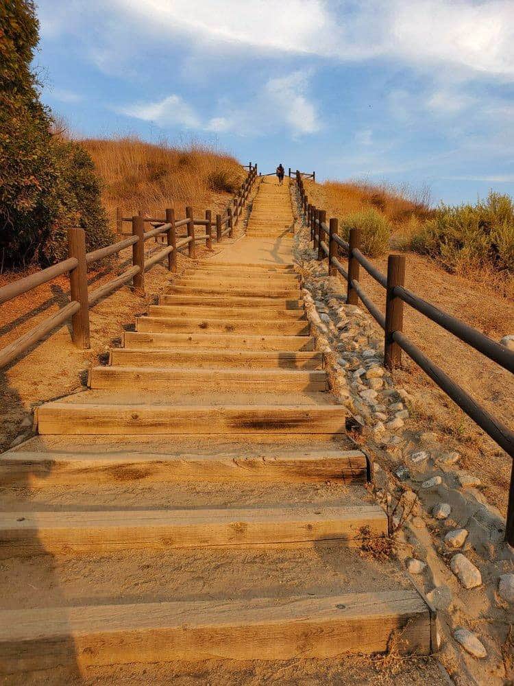 Steep Canyon Trail - Photo 1