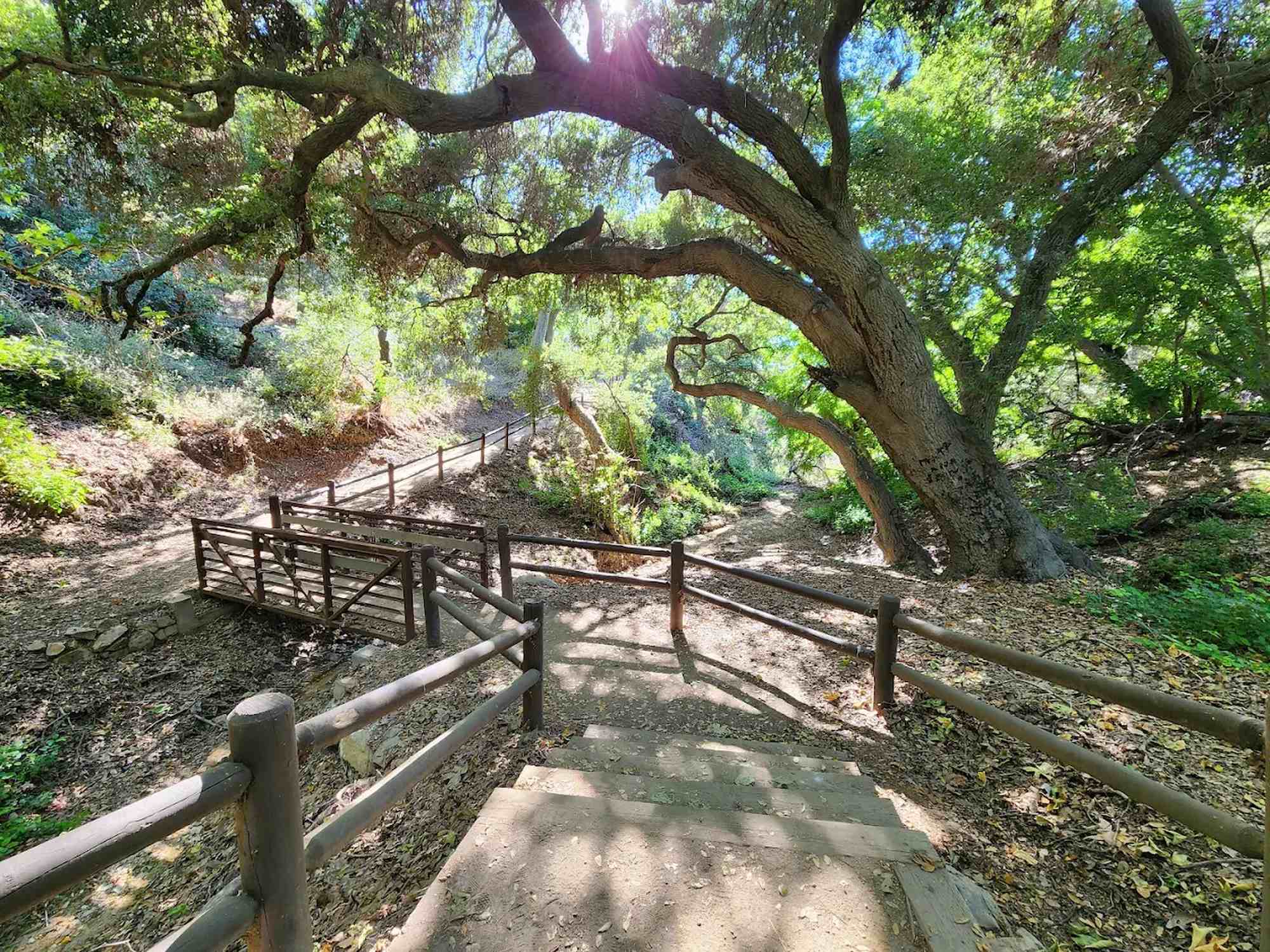 Summitridge Park - Photo 1