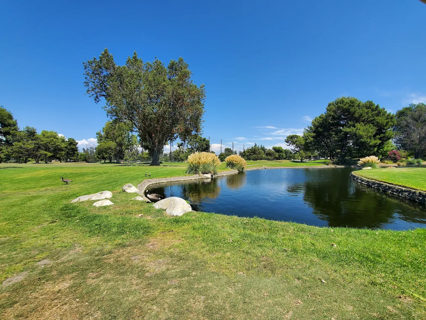 Rio Hondo Golf Club - Photo 1