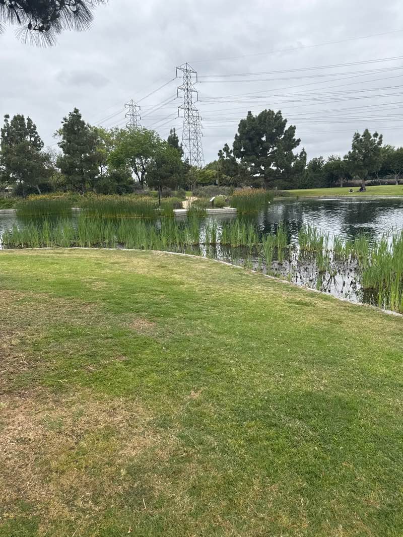 Wilderness Park - Photo 1
