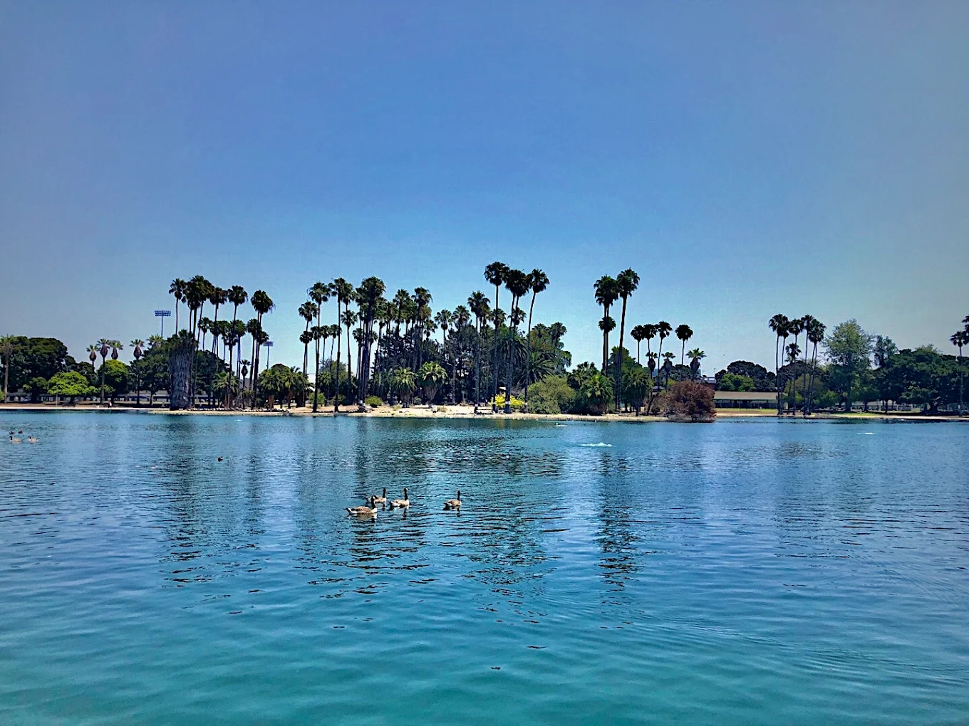 Alondra Park - Photo 1