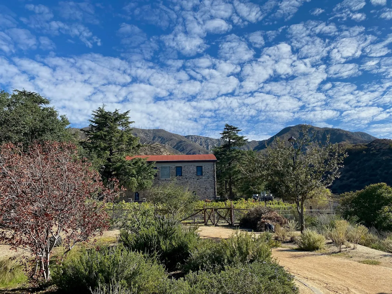 Deukmejian Wilderness Park - Photo 1