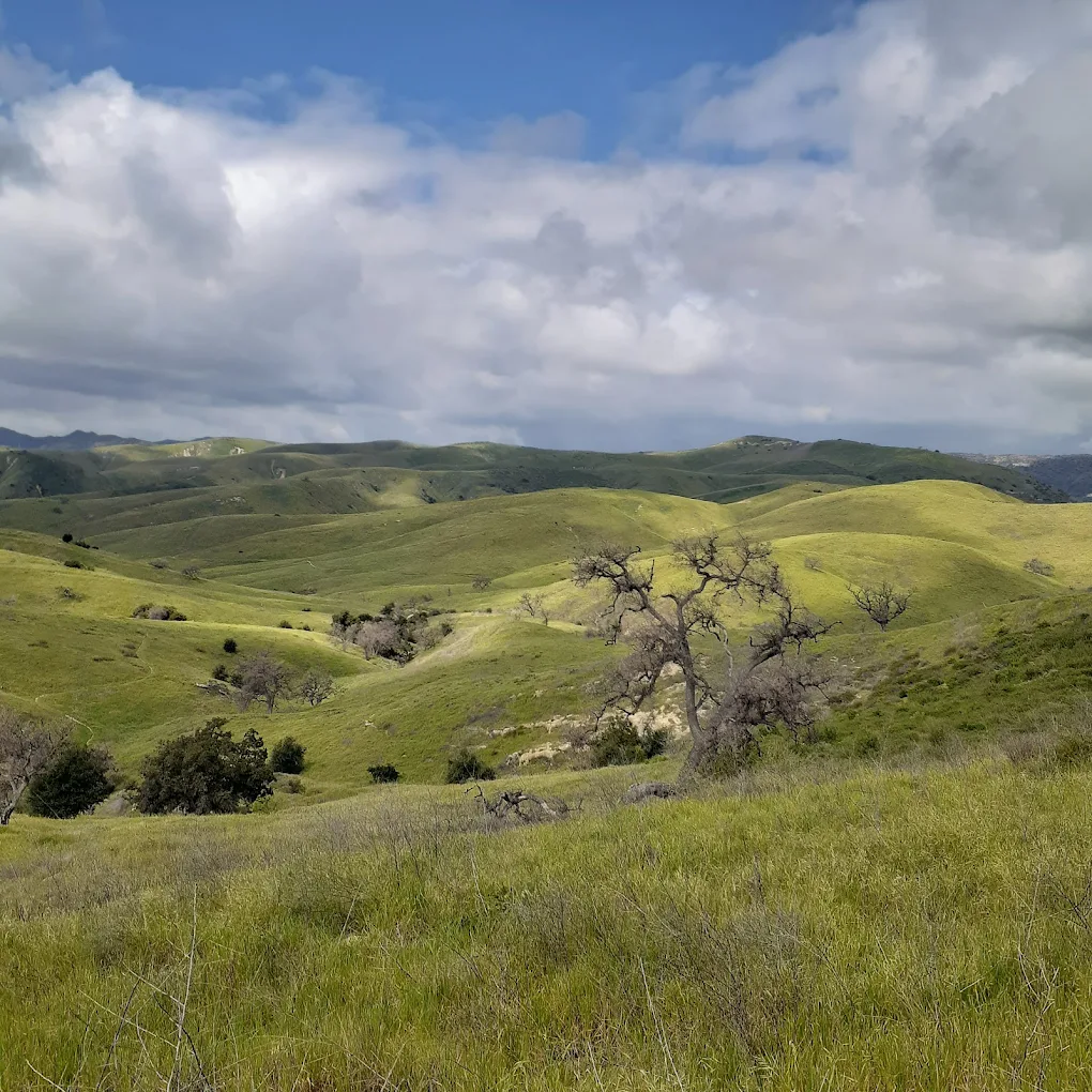 Upper Las Virgenes Canyon Open Space Preserve - Photo 1