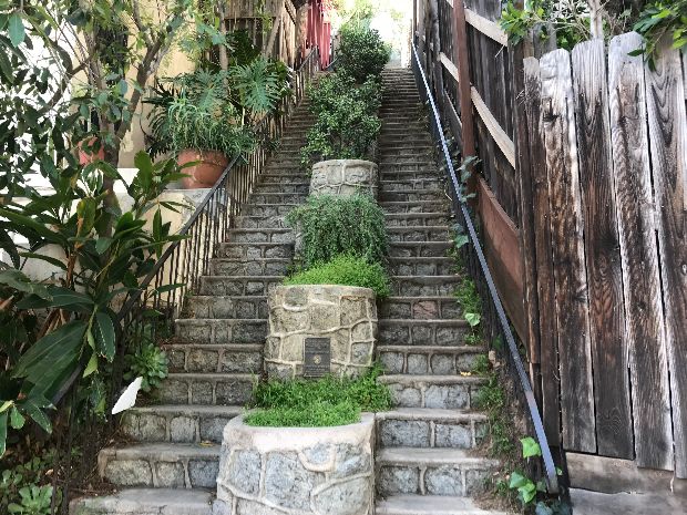 Beachwood Canyon Stairs - Photo 1