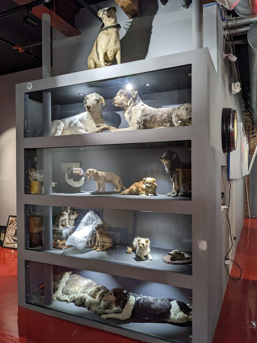Museum of Death - Photo 1