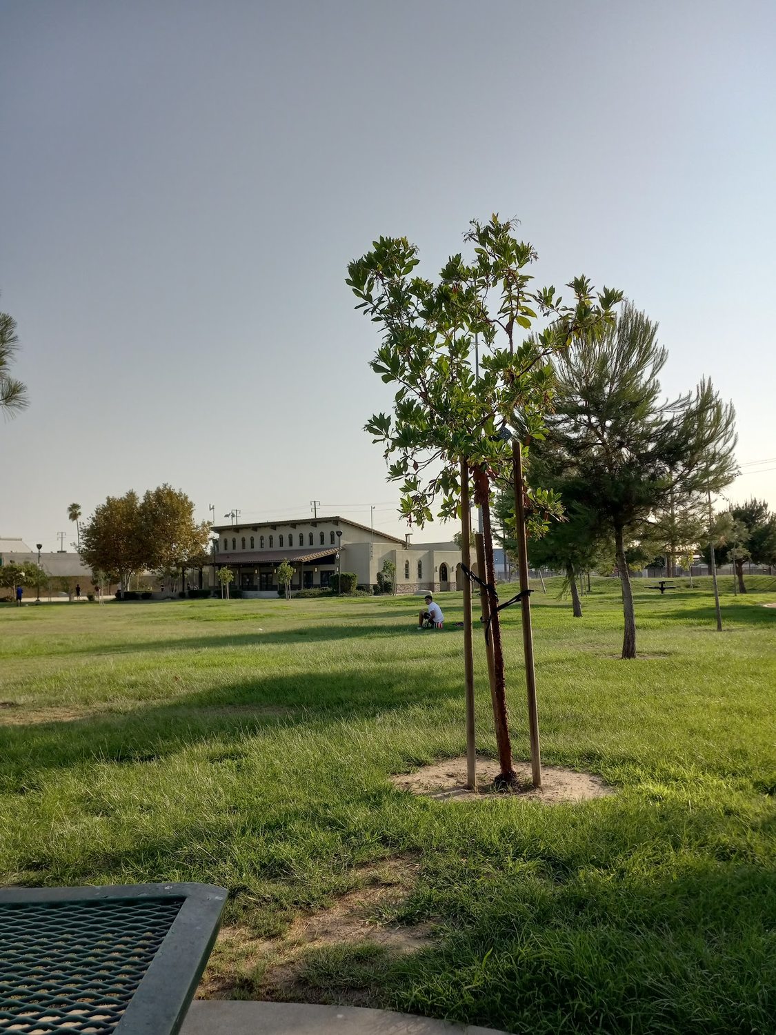 Raul R. Perez Memorial Park - Photo 1