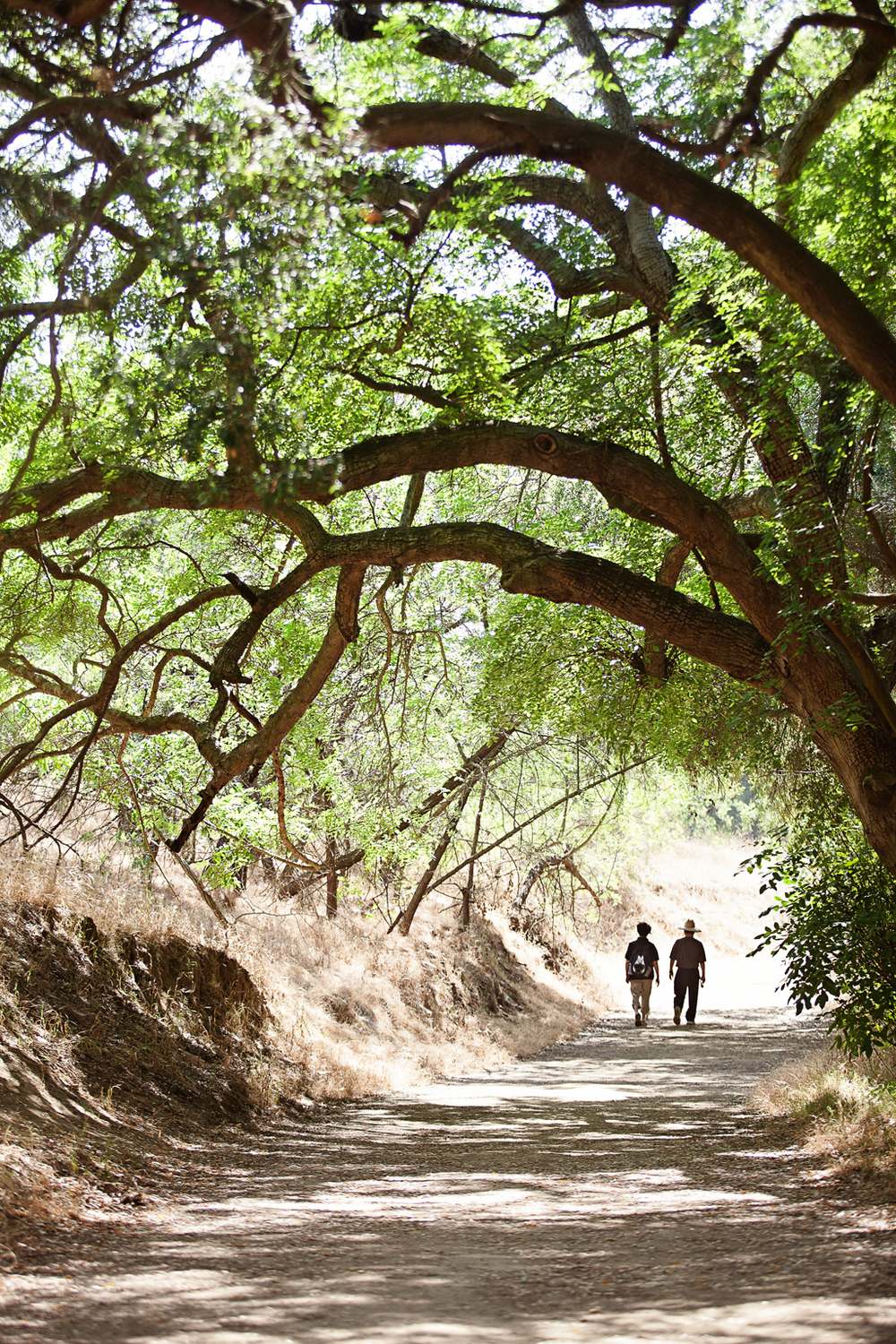 Powder Canyon Loop Trail - Photo 1