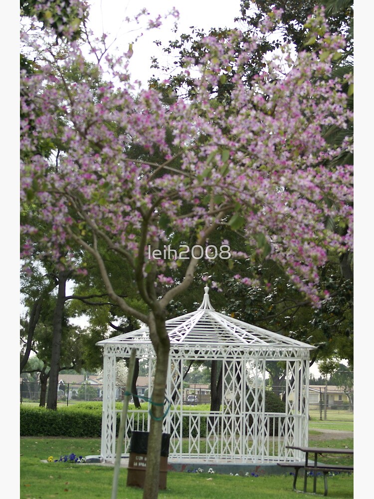 Neff Park - Photo 1