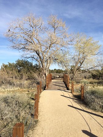 Prime Desert Woodland Preserve - Photo 1