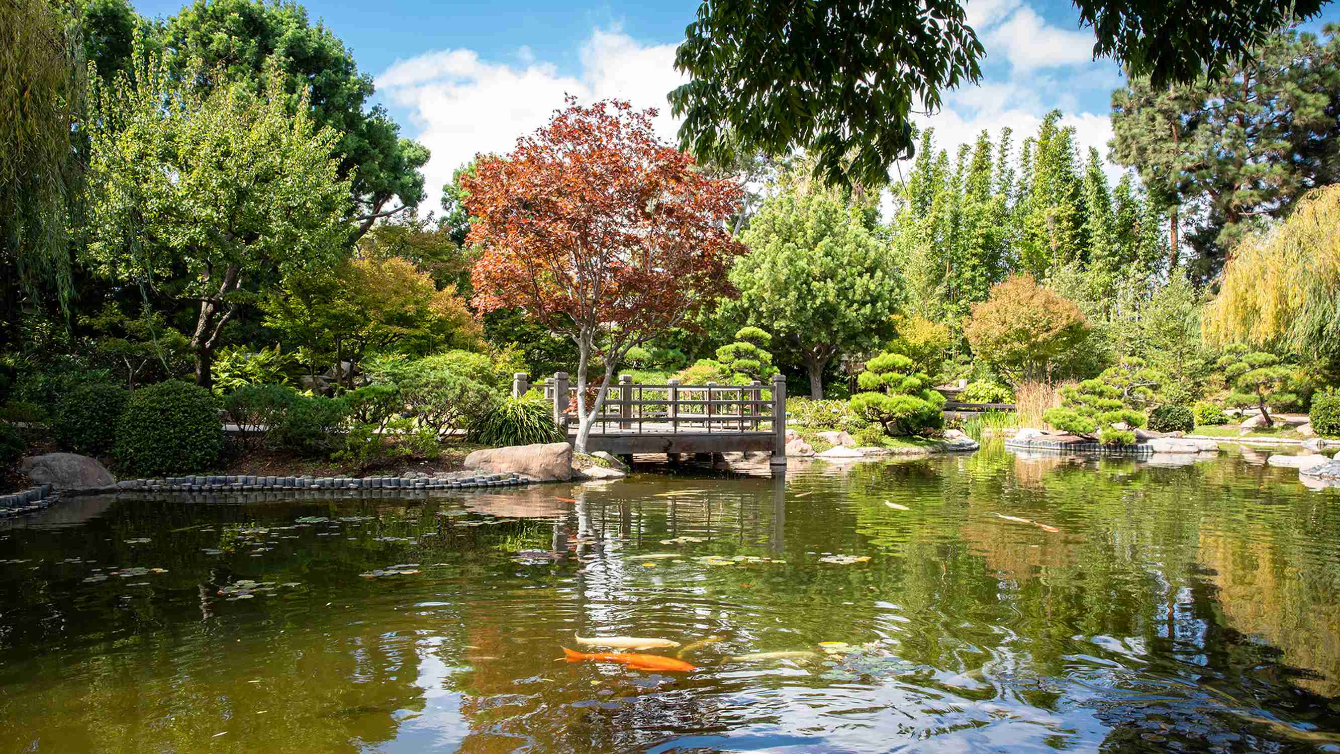 Earl Burns Miller Japanese Garden - Photo 1