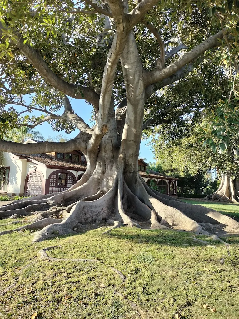 Rancho Los Alamitos Historic Ranch and Gardens - Photo 1