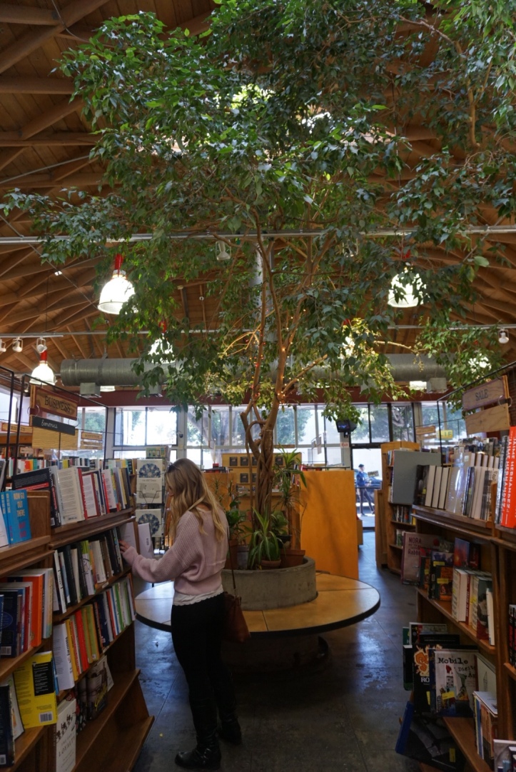Skylight Books - Photo 1