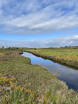 Ballona Wetlands Ecological Reserve - Photo 1