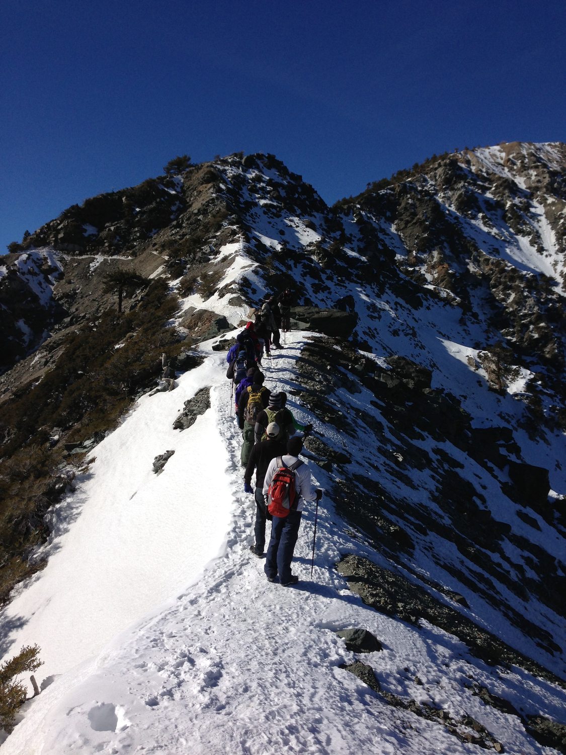Devil's Backbone Trail - Photo 1