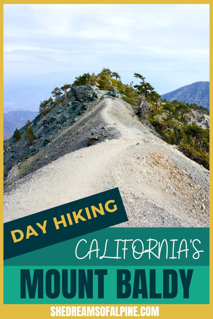 Mt Baldy Visitor Center - Photo 1