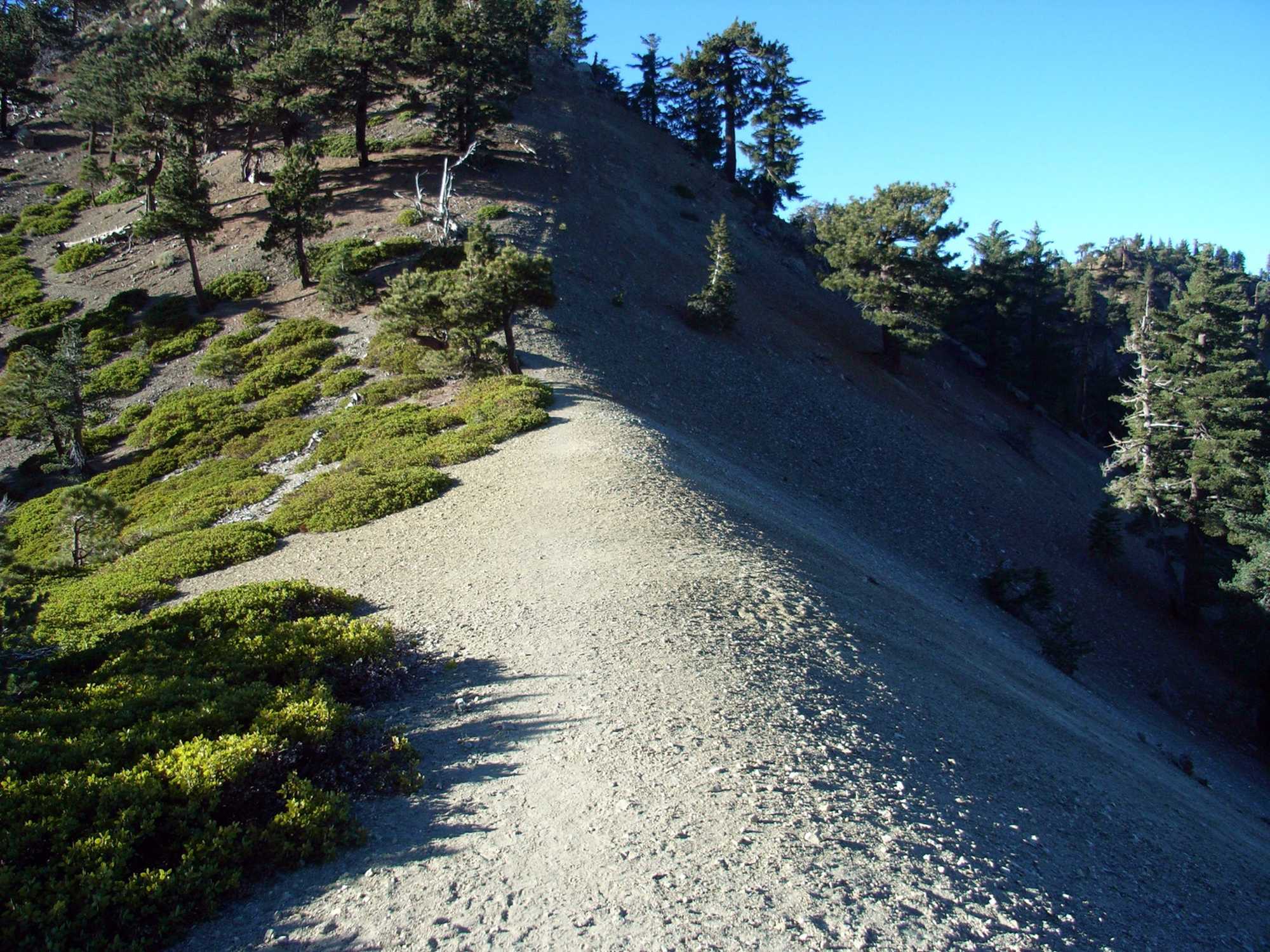 Thunder Mountain Trail - Photo 1