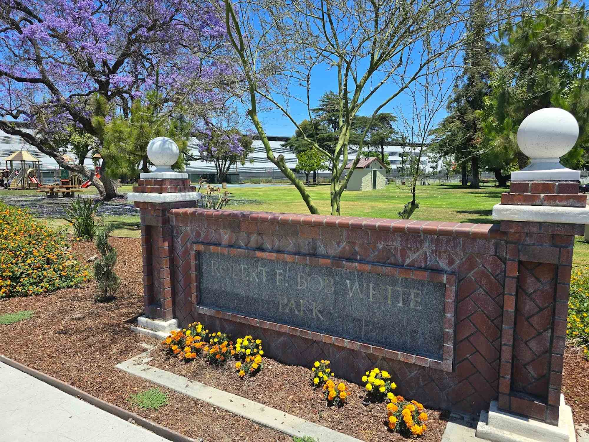 Robert White Park - Photo 1