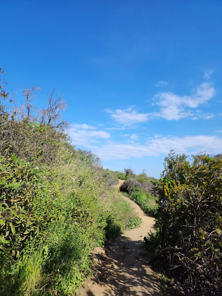 Los Leones Trailhead - Photo 1