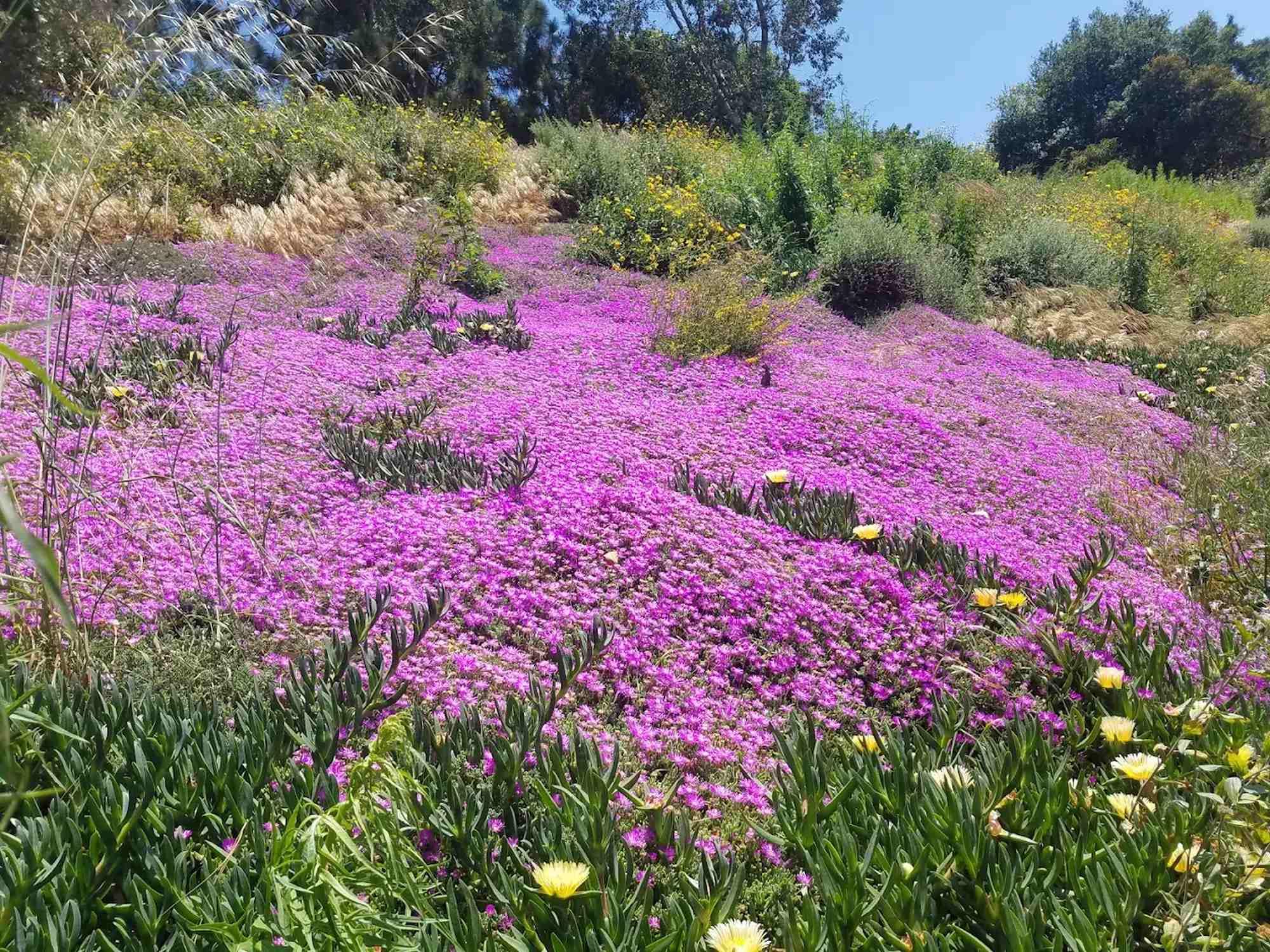 Rustic Canyon Park - Photo 1