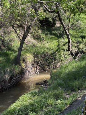 Village Park - Photo 1