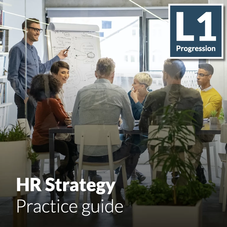 Developing a Base Strategy that Provides Guidance on HR Direction, Initiatives, Objectives, and Goals.