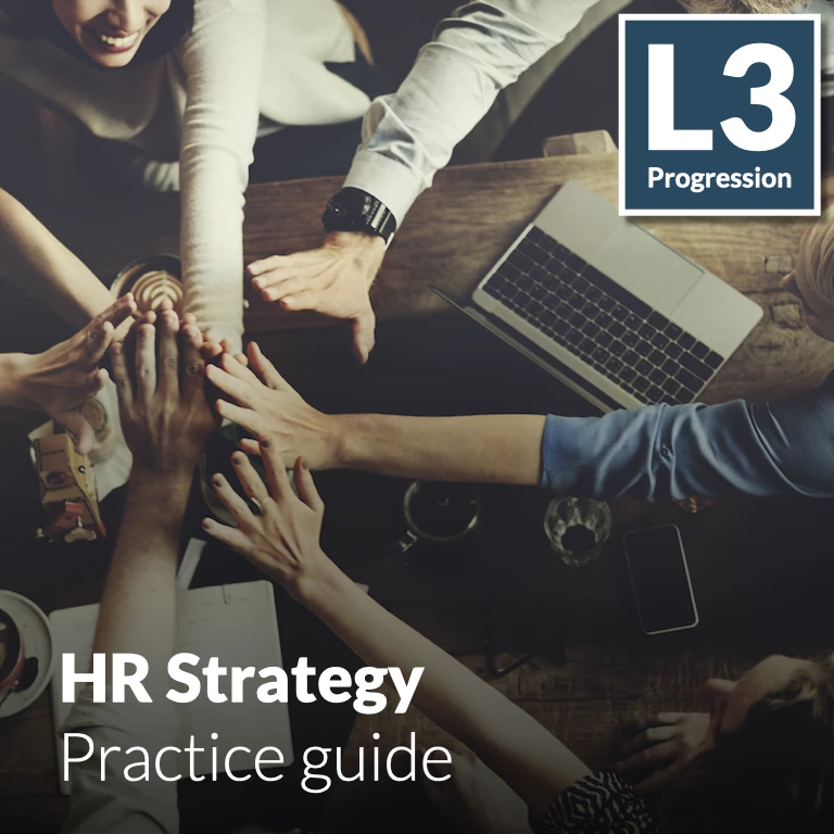 HR Strategy - Practice guide (L3 - Emerging)