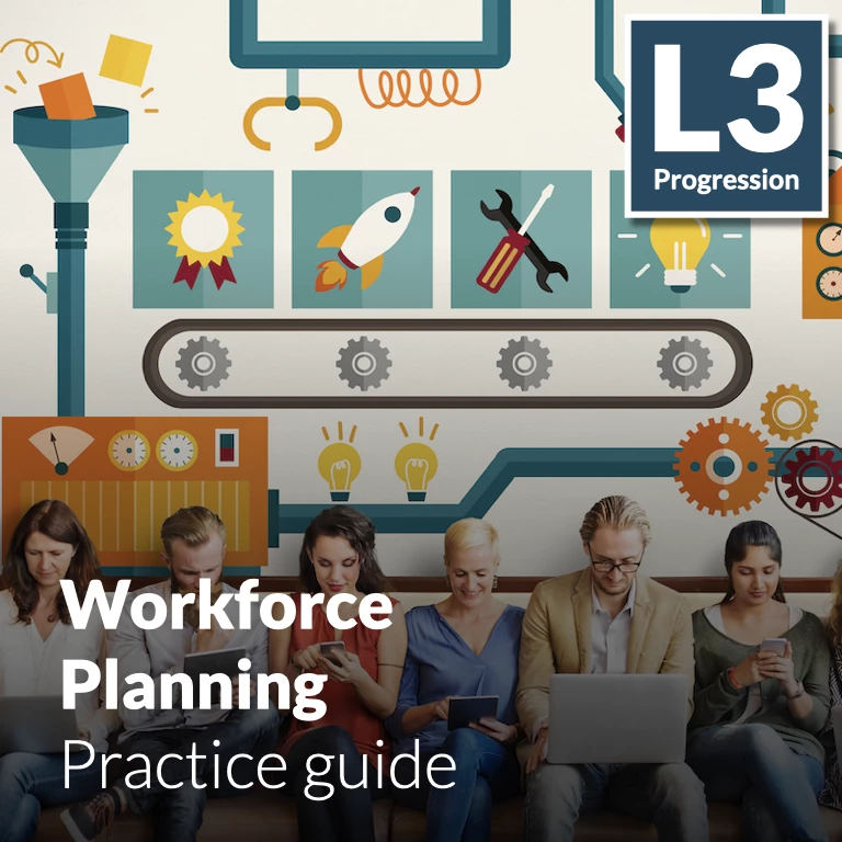 Workforce Planning - Practice guide (L3 - Emerging)