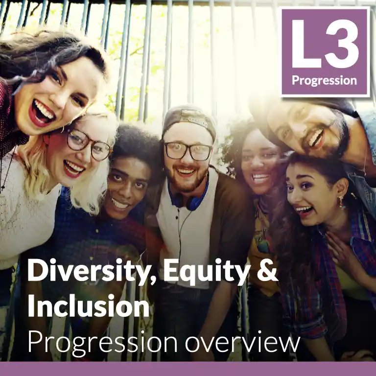 Diversity, Equity & Inclusion - Progression overview (L3 - Emerging)