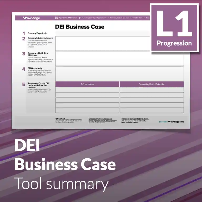 Diversity, Equity & Inclusion - Tool summary (L1 - Core)