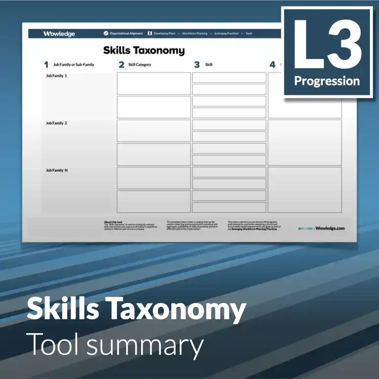 Workforce Planning - Tool summary (L3 - Emerging)