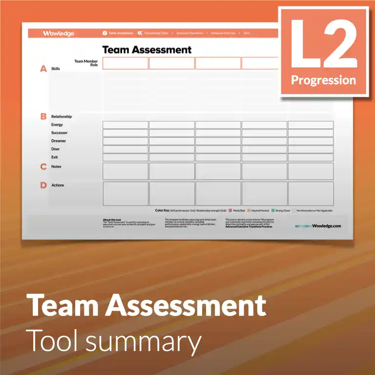 The Team Assessment Tool: Evaluate an Executive's Current Team to Identify Strengths and Gaps to Focus on.