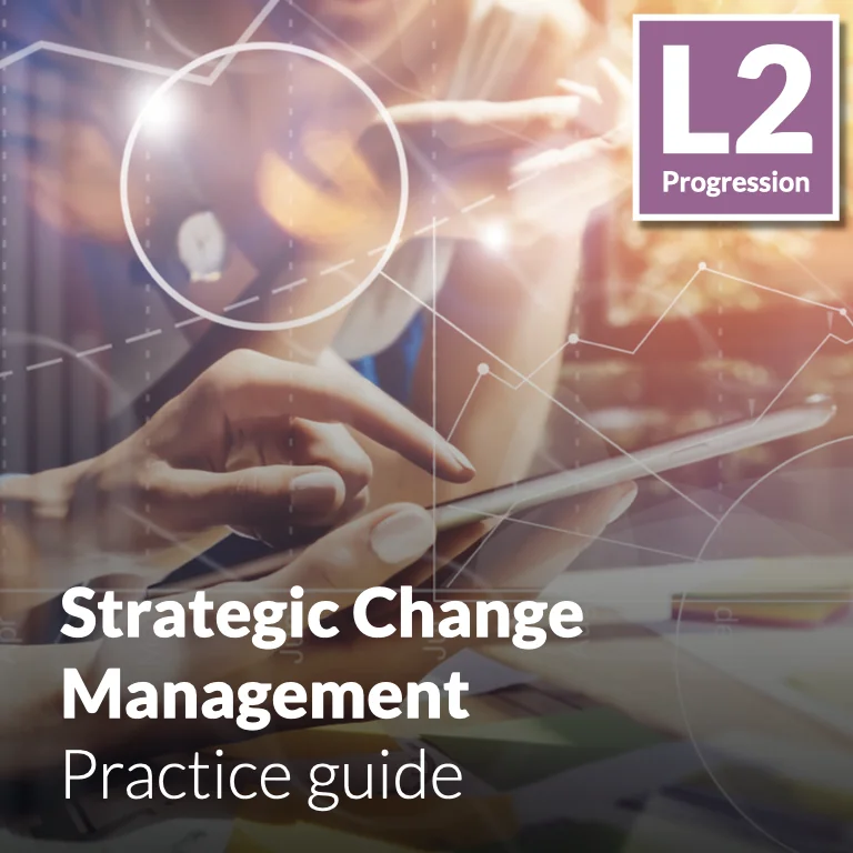 Strategic Change Management - Practice guide (L2 - Advanced)