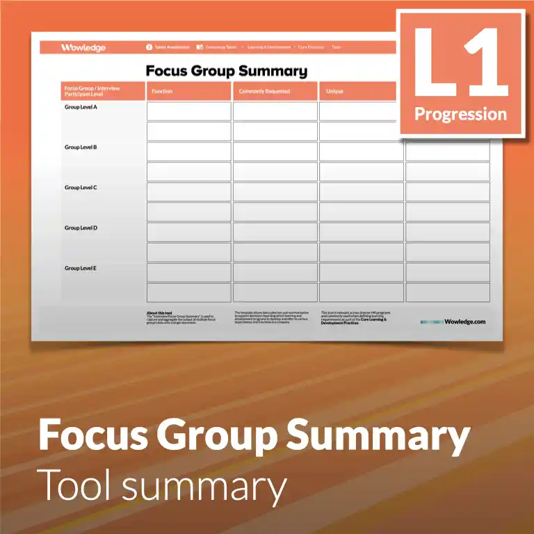 The Focus Group Summary Tool: Consolidate Outputs Needed to Support Decisions on Learning and Development Programs to Create.