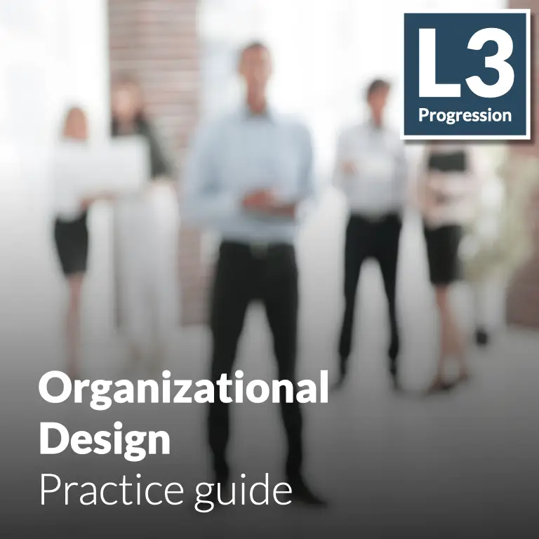 Organizational Design - Practice guide (L3 - Emerging)