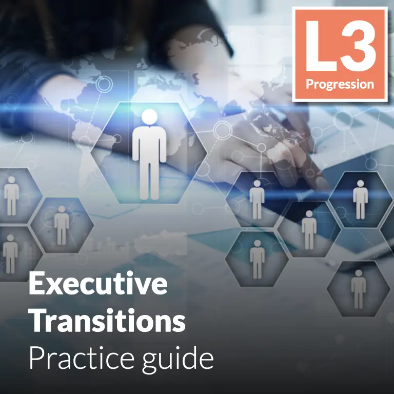 Executive Transitions - Practice guide (L3 - Emerging)