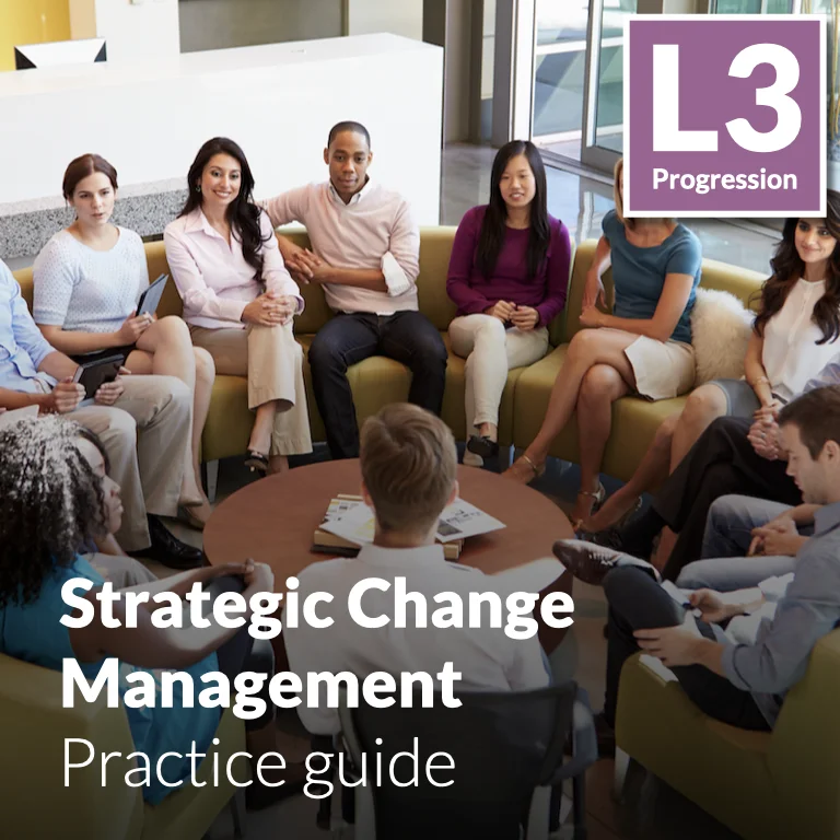 Strategic Change Management - Practice guide (L3 - Emerging)