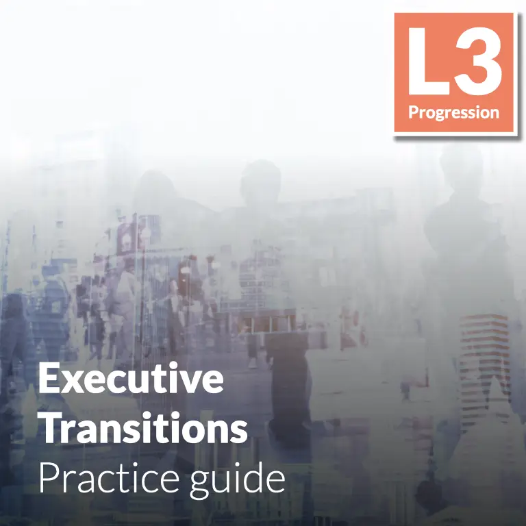 Executive Transitions - Practice guide (L3 - Emerging)