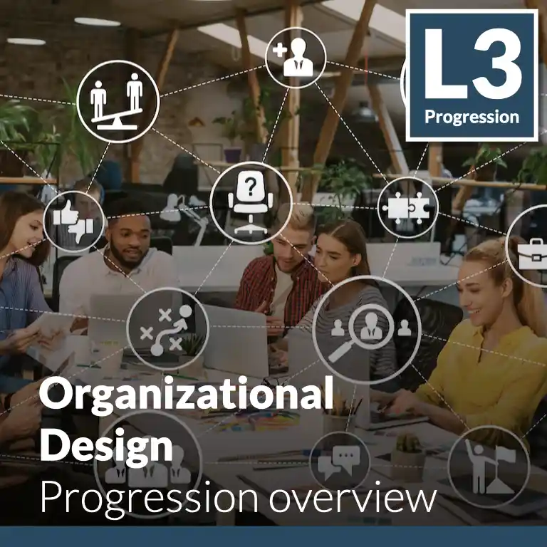 Organizational Design - Progression overview (L3 - Emerging)