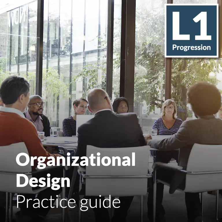 Establishing Governance and Principles for Designing the Organization that are Aligned with Business Strategy.