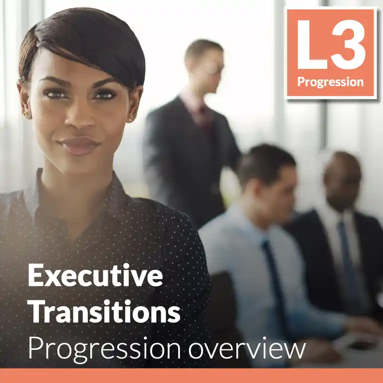 Executive Transitions - Progression overview (L3 - Emerging)